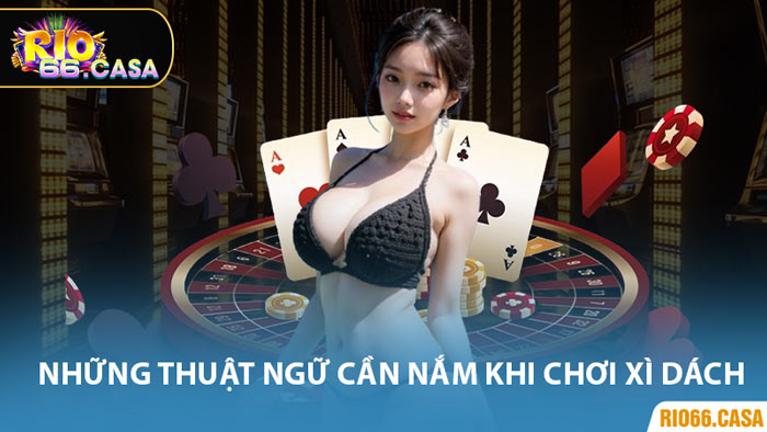 Những Thuật Ngữ Cần Nắm Khi Chơi Xì Dách